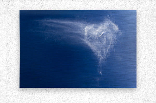 2526364 :: Brushed Metal Print