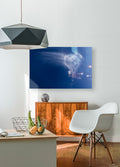 2526364 :: HD Sublimation Metal Print
